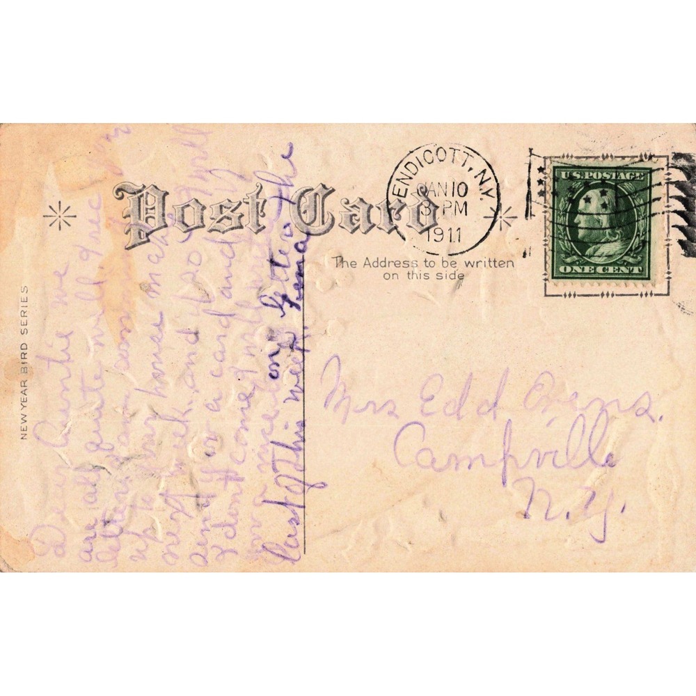 Vintage 1911 A Happy New Year Postcard Red Bird Holly Berries Endicott NY Stamp - Picture 2 of 2